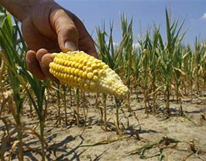 Redação UCPEL 2016